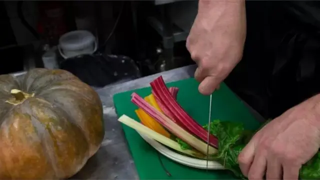 શાકાહાર