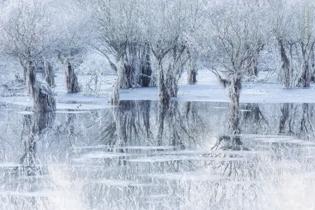 um lago congelado reflete as árvores hibernando e cobertasjogo de caça níqueisgelojogo de caça níqueisvolta