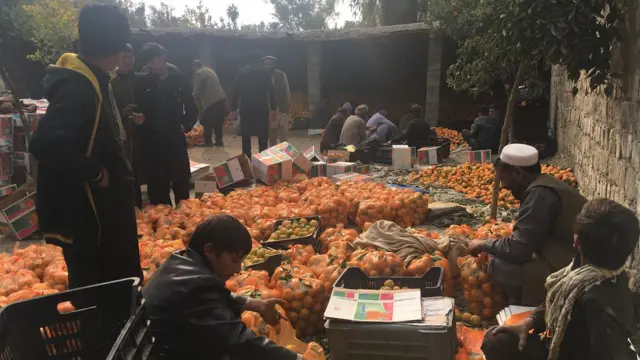 بټي کوټ