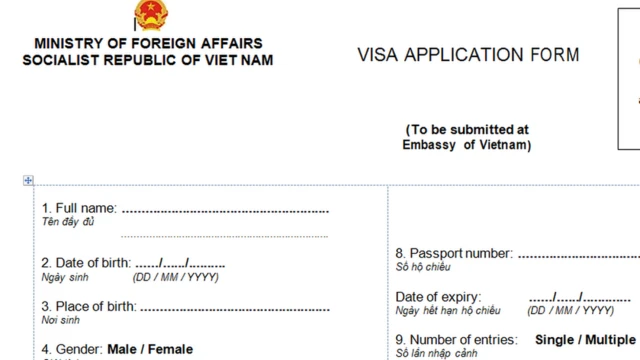 Mẫu xin visa Việt Nam dùng cụm từ 'full name'