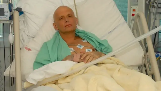alexander litvinenko