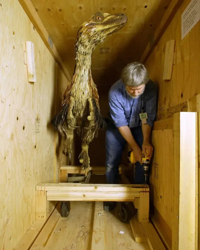 fosil, menjadi fosil, dinosaurus