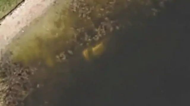 ગૂગલ મૅપ