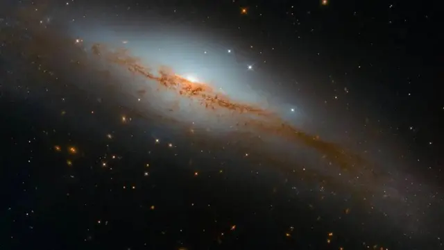 देव, शास्त्र, धर्म