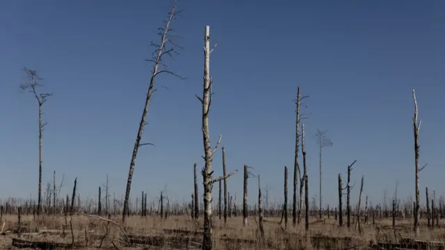 Зона отчуждения