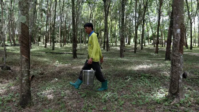 นายกฤษฎาถือถังเพื่อกรีดยางในสวน