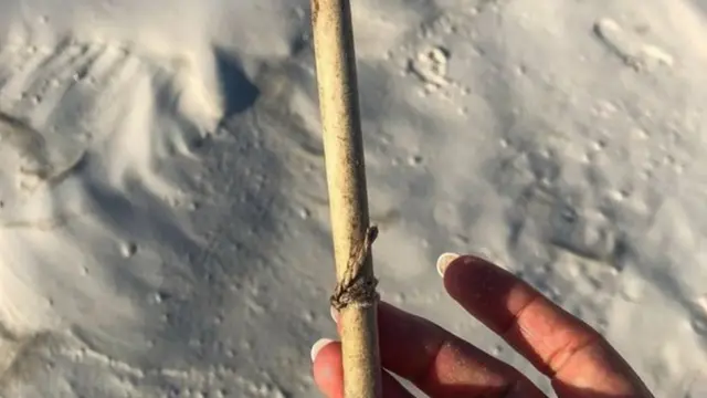 বোতলের ভেতরে গুটিয়ে রাখা ছিলো এই কাগজটি