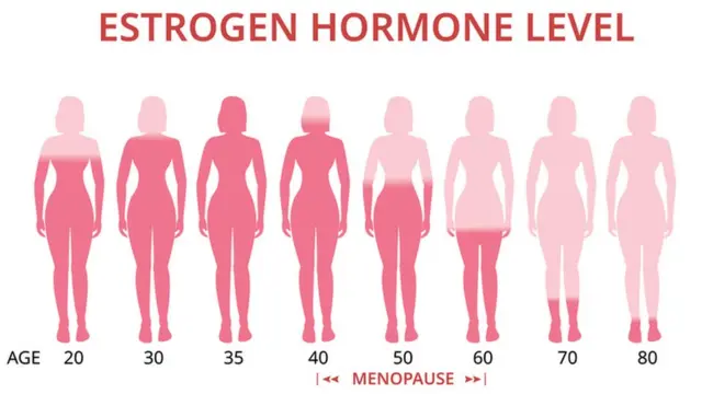 మెనోపాజ్