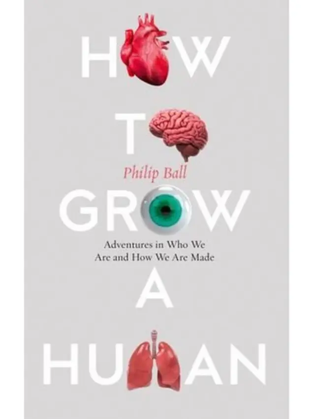 How to grow a human