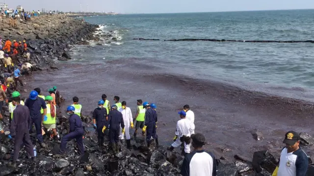 எண்ணெய் கசிவு சுத்திகரிப்பு