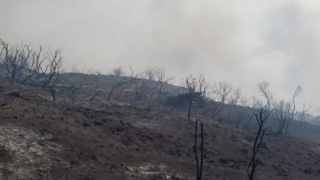 paisagem depois da erupção