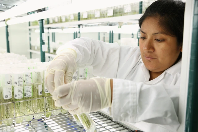Técnica trabajando con tubos de ensayo en el CIP