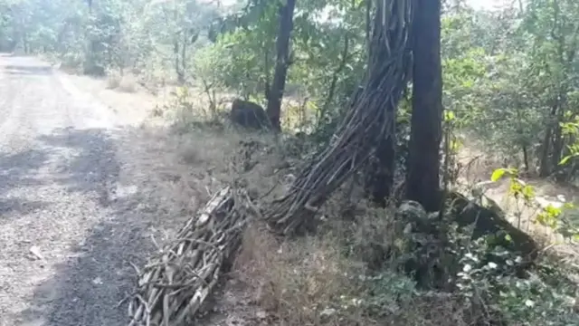 ઘટનાસ્થળ