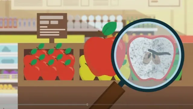 ఫేక్ న్యూస్