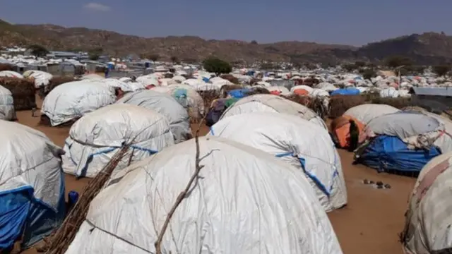 Xerada qoxootiga Qolaji