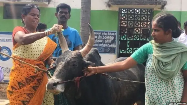 सेल्वरानी