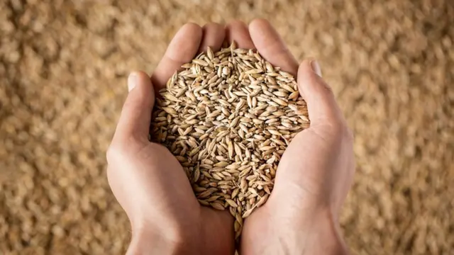 ஒரே நாடு, ஒரே ரேஷன் கார்டு