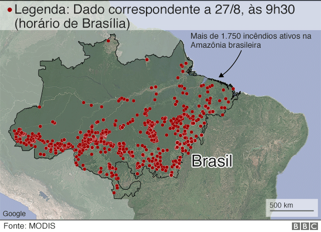 grafico sobre amazonia