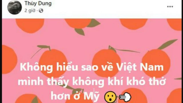 Dòng trạng thái được cho là của Hoa hậu Thùy Dung