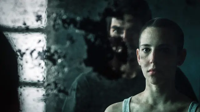 Sole y Baleno mirándose en un espejo