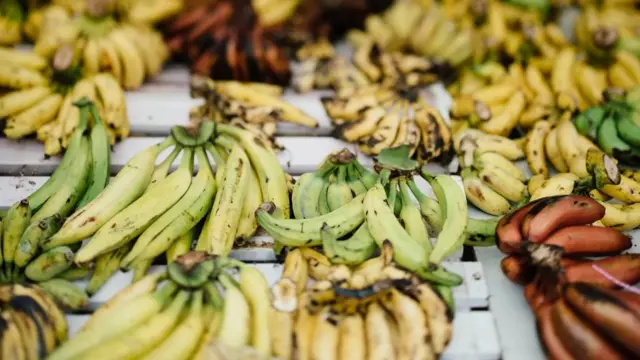 Plantain, une variété de banane