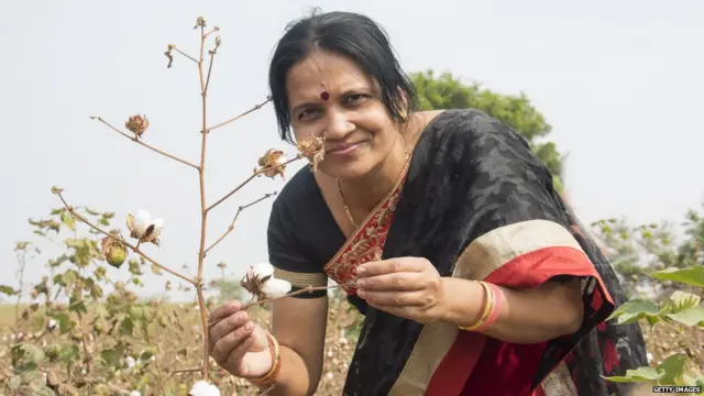 महिला शेतकरी, प्रातिनिधिक फोटो