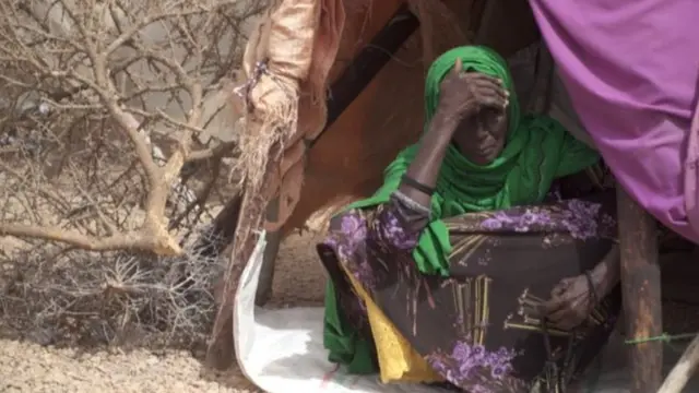 Boqollaal qoys oo xoolaha ay ka dhammaadeen ayaa qaxay