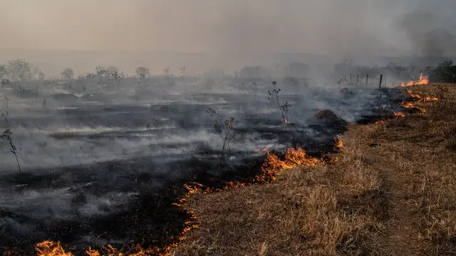 பருவநிலை மாற்றம்
