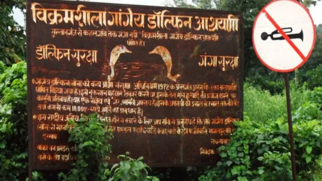 डॉल्फ़िन सैंक्चुअरी