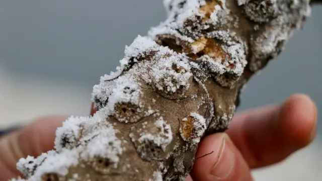 கடும் பனியில் உறைந்த காஷ்மீர்