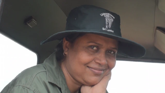 වන සතුන්