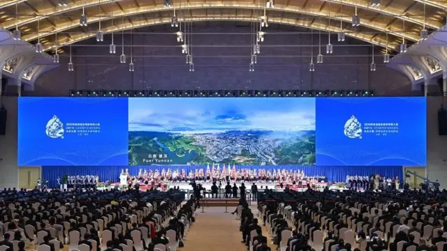 2021年10月在昆明举行的《联合国生物多样性公约》第十五次缔约方大会