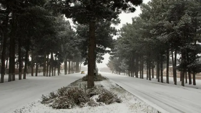 اولین برف در هرات