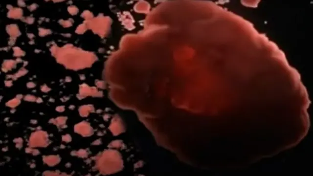 Vue microscopique de cellules se regroupant ensemble