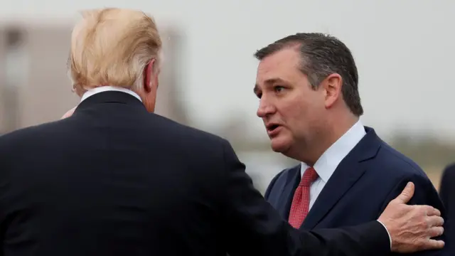 دونالد ترامپ برای کروز کمپین کرده بود