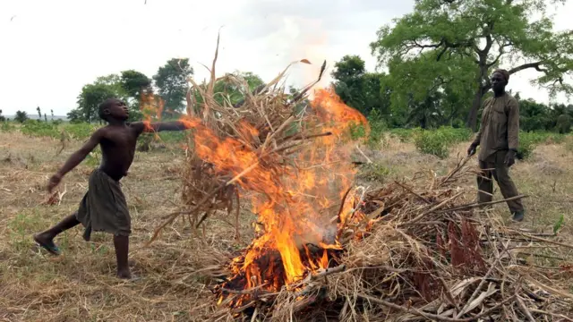 Farmers for Benue dey bun bush for dia farm