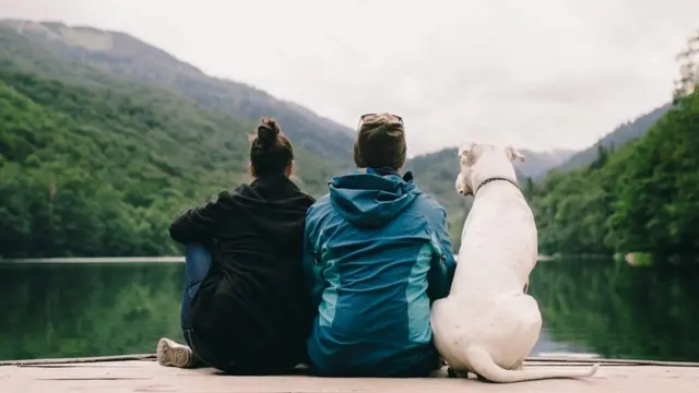 собака и люди