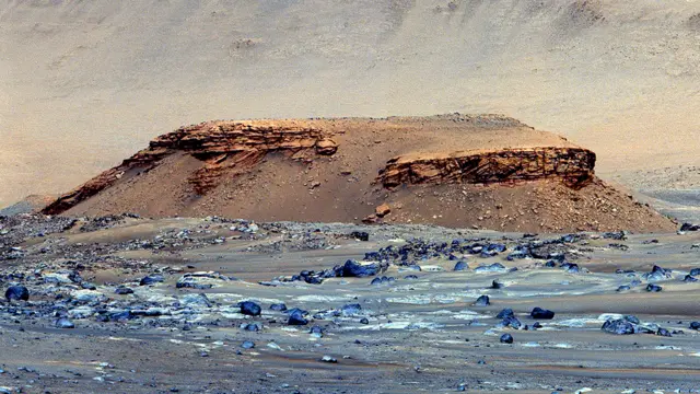 कोडियक थुम्को