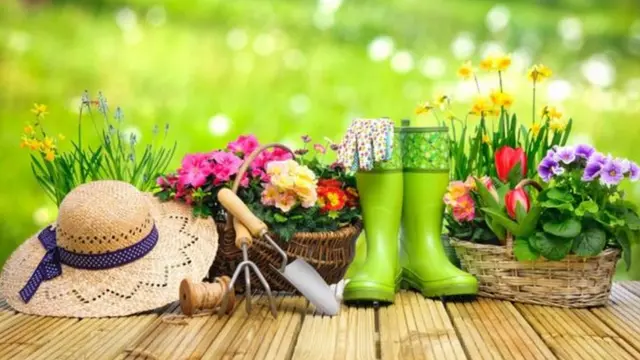 Vasosel torero slot onlineplantas e chapéu para jardinagem