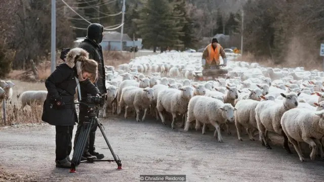 डॉक्युमेंट्री मेकर्स