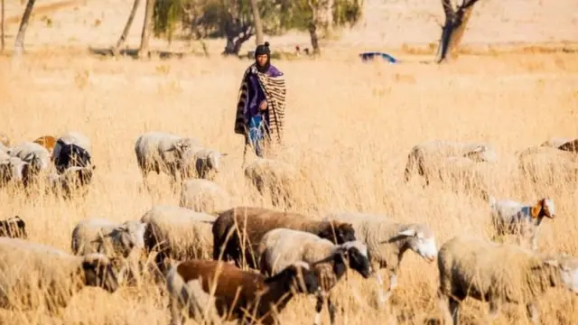 Virusi vya corona havisambai katika maeneo ambayo watu wanaishi mbalimbali