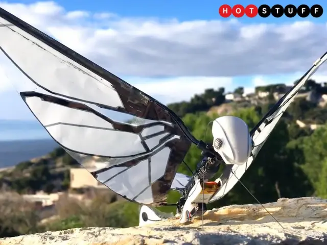 پهپاد حشره‌ای