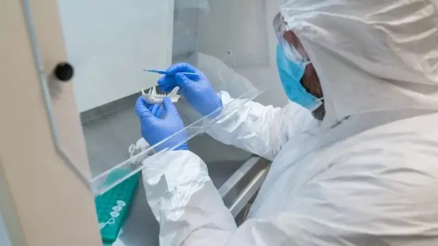 ਪਲੇਗ ਦੇ ਪ੍ਰਭਾਵ