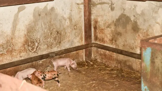 Місце, де була вбита співробітниця Одеського слідчого ізолятора