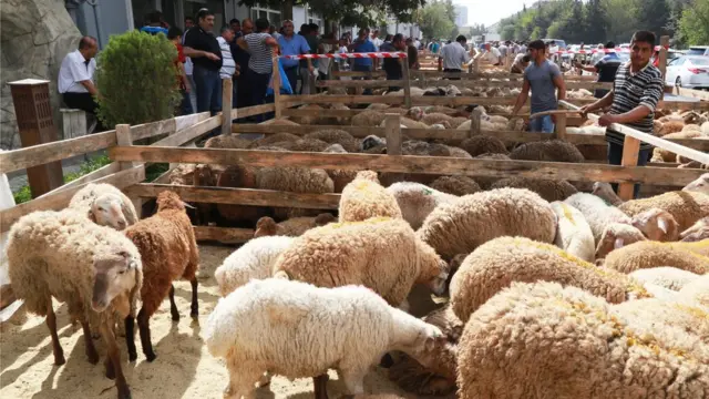 Azərbaycanda Qurban bayramı