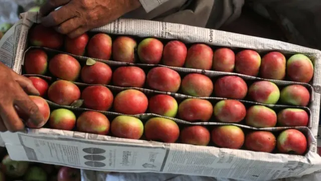 श्रीनगर के करीब सेब पैक करता व्यापारी