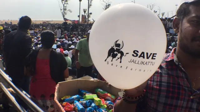 ஜல்லிக்கட்டு ஆதரவு பரப்புரை