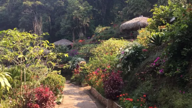 Bản Hmong ở Doi Pui nằm cách thành phố Chiang Mai của Thái Lan chỉ 15km