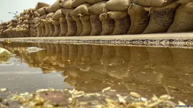 ਮੀਂਹ ਦੇ ਘੇਰੇ 'ਚ ਪਈਆਂ ਕਣਕ ਦੀਆਂ ਬੋਰੀਆਂ