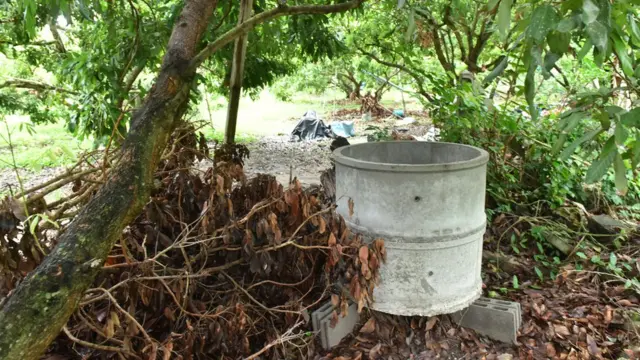 ถังหมักขยะ